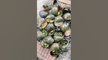 Ốc bưu nướng tiêu xanh