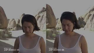 Sony Fx30 Vs Sony Fx3 Real World Comparison Side By Side