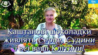 Каштанові шоколадки живлять Серце, Судини і всі ваші Клітини!