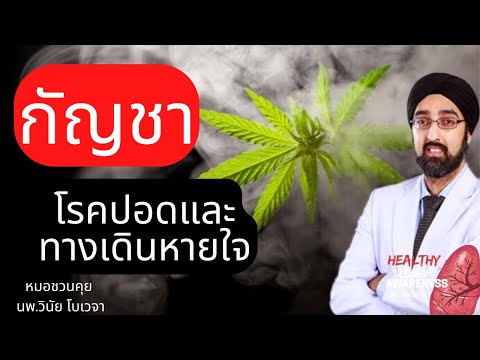 กัญชา กับ โรคปอดและทางเดินหายใจ | นพ.วินัย โบเวจา