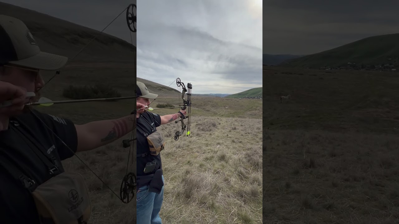65 yard shot on a zebra #pnw #bowhunting #3d #archery #idaho #content #shorts #subscribe #5ksubs
