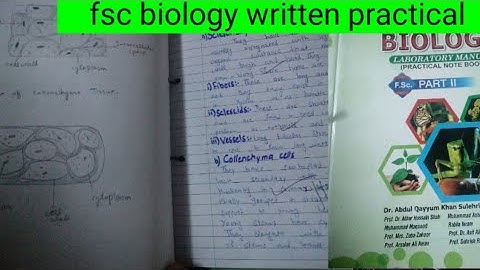 fsc Practical notebook of biology , intermediate || solved practical notebook with diagrams