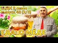 Еда: о мёде - Доктор Комаровский