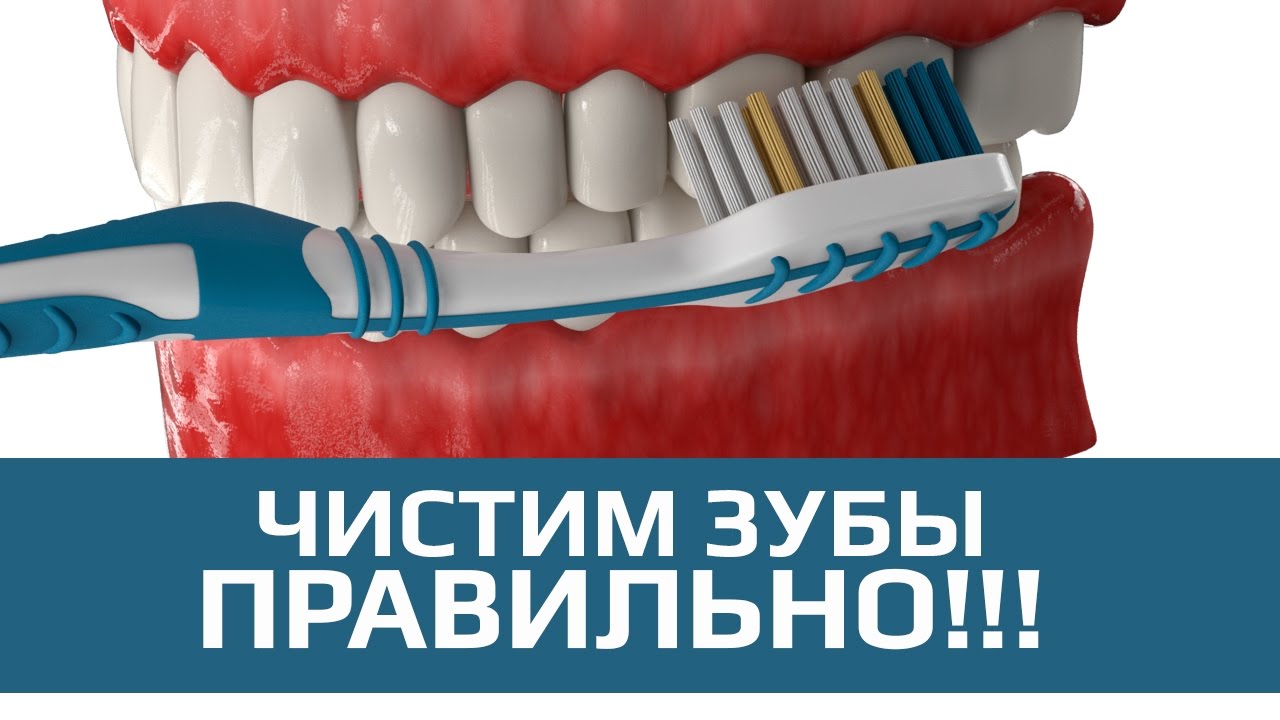 Чистка зубов. Правильная и неправильная чистка зубов - YouTube