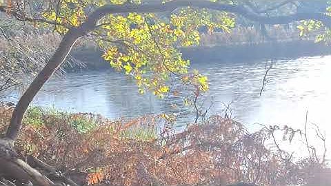 GORGEOUS SUNNY, BUT COLD 8k