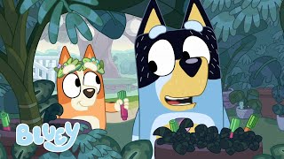 Primavera con Bluey | Bluey Español Canal Oficial