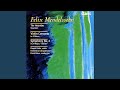 Miniature de la vidéo de la chanson Violin Concerto In E Minor, Op. 64: Iii. Allegretto Non Troppo - Allegro Molto Vivace