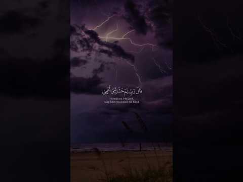 سورة طه الآيه 125 126 بصوت الشيخ إسلام صبحي ق ال ر ب ل م ح ش ر ت ن ي أ ع م ى