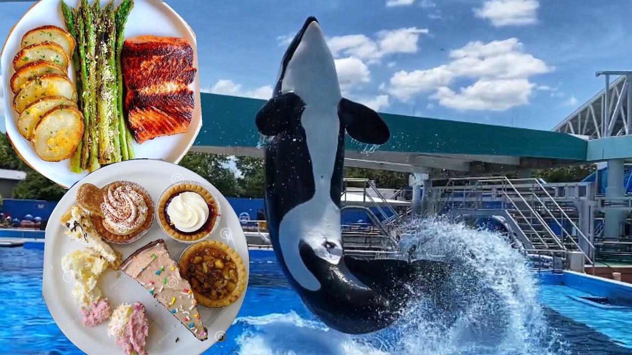 Dine with Orcas at Seaworld Review (2021) The Full Experience