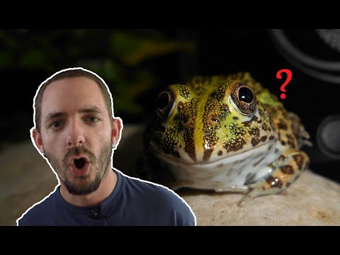 Unboxing la ferme