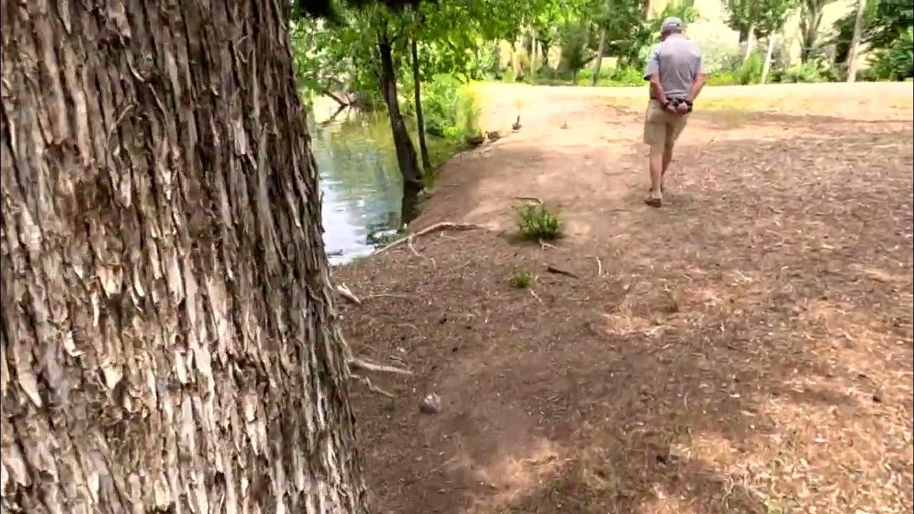 Duck Pond/Macey Center/Socorro New Mexico - YouTube