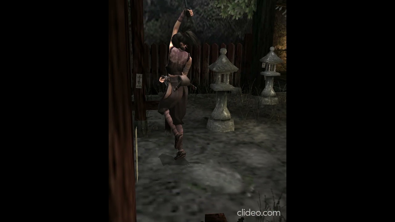 Ayame doing what she does best Tenchu Fatal Shadows