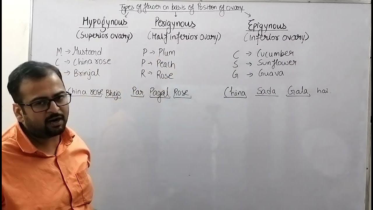 amazing trick Superior ovary/ Half Inferior/ Inferior ovary