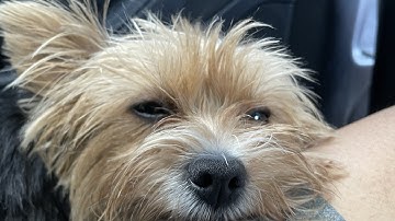 Proof for my friends that i don