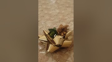 سورة الواقعة اللهم اجعل القرآن العظيم ربيع قلوبنا ونور صدورنا وجلاء أحزاننا وذهاب همومنا اللهم آمين