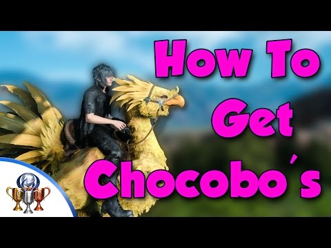 Video: „Final Fantasy 15 Chocobos“- Kaip Atrakinti „Chocobo“nuomos Paieškas, Rasti Naujų Spalvų Ir įgūdžių