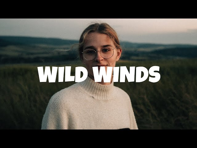 AMIDY & Man Cub - Wild Winds (Lyrics) class=