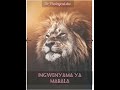 Ingwenyama ya mabale spirit song: Hear the ancient prayer to summon the Ingwenyama