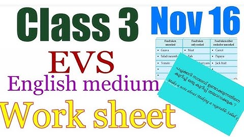 Class 3 Evs worksheet november 16|3 std parisarapadanam| kite victers std 3 evs class November 16