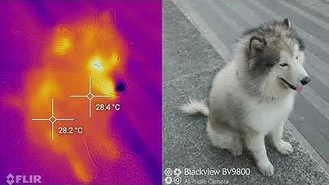 MyFLIR APP Operation Tutorial