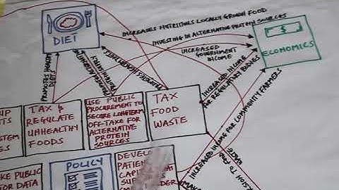 6  Food Systems Map on Policy