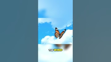 Sound, Noise, and Music: Understanding the Differences