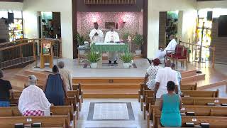 Memorial of Saint Bonaventure, Bishop and Doctor of the Church