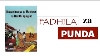 fadhili za punda | mapambazuko ya machweo pdf | mwongozo wa mapambazuko ya machweo | mapambazuko ya screenshot 5