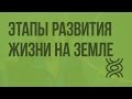 Этапы развития жизни на Земле. Видеоурок по биологии 9 класс