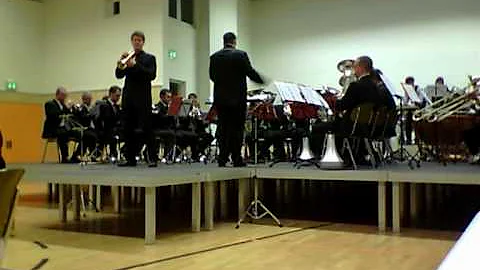 Austrian Brass Band und Christian Hollensteiner Na...