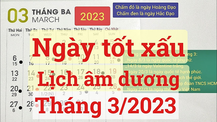 Tháng 3 năm 2023 là tháng gì năm 2024