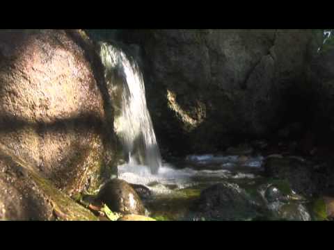 Дзен сад. Водопады.(2011)