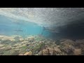 THOUSANDS OF FISH! Underwater Shock: Incredible Atlantic Cluster