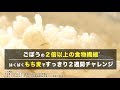 ごぼうの２倍以上の食物繊維！はくばく・もち麦ですっきり2週間チャレンジ（News TV）