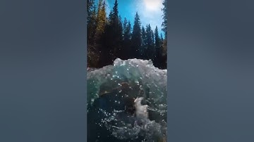 القارئ محمد اللحيدان ما تيسر من سوره (القصص)