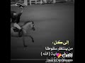الى كل من ينتظر سقوطنا mp3