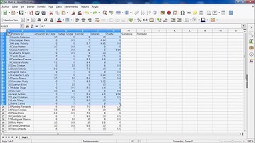 Libre Office Calc | Funciones básicas Suma Promedio, Formato Condicional | Prueba de Aplicaciones