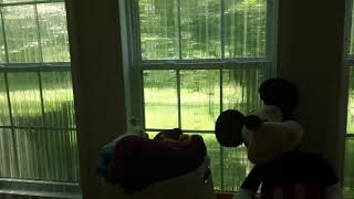 Sesame Street Learning About Numbers Kermit Gets Mad At The Count In The Elevator Operator