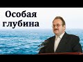 &quot;Особая глубина&quot;. В. Н. Чухонцев. МСЦ ЕХБ