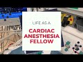 A Day In The Life Of A Cardiothoracic Anesthesia Fellow