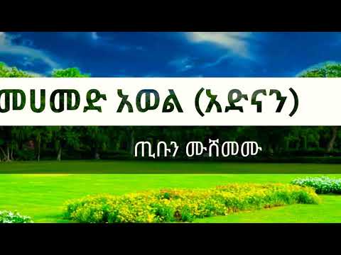 መሀመድ አወል አድናን ጢቡን ሙሸመሙ Mohammed Awol Adnan محمد أول 