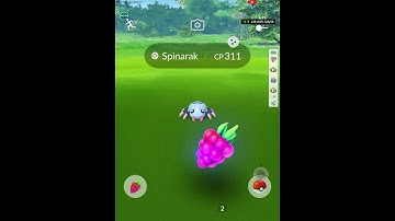 Pokémon go ( I got a second shiny ✨ Spinarak ) using IPogo