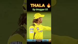 csk shorts  cricket gamer champion of God bless him only power of attorney at of.
