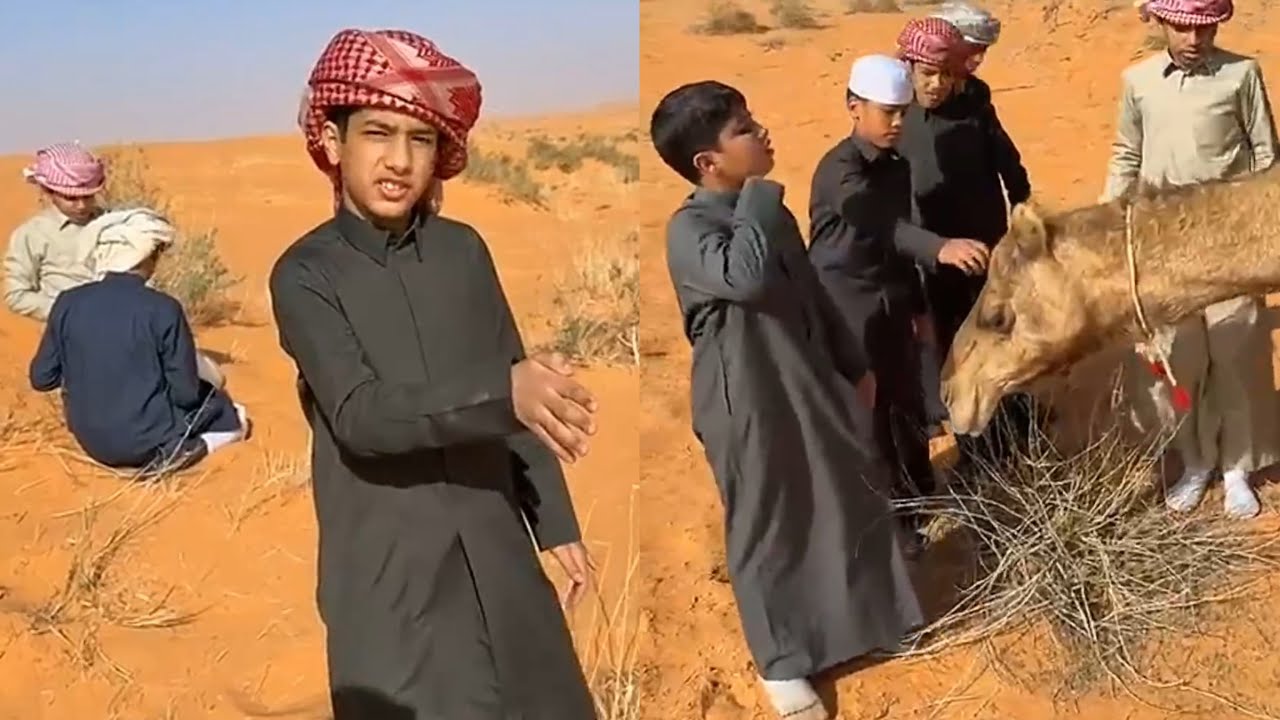 الشباب راحوا للطعوس ولقوا ناقه بالصحراء واحمد وقزيع خايفين 😂😂 #فراج_قزيع_السهلي سنابات فراج السهلي