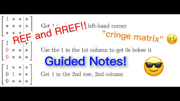 Solving Systems Like a Boss with Gauss-Jordan Elimination! (ft. random guy)
