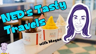 NED's Tasty Travels-How to make frozen yogurt with Megan: A NED Short screenshot 4