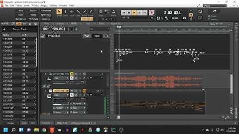 Cakewalk by Bandlab Tutorial: How to Use the Time View