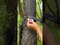 Master the Art of Natural Fire Starting! 🔥✨