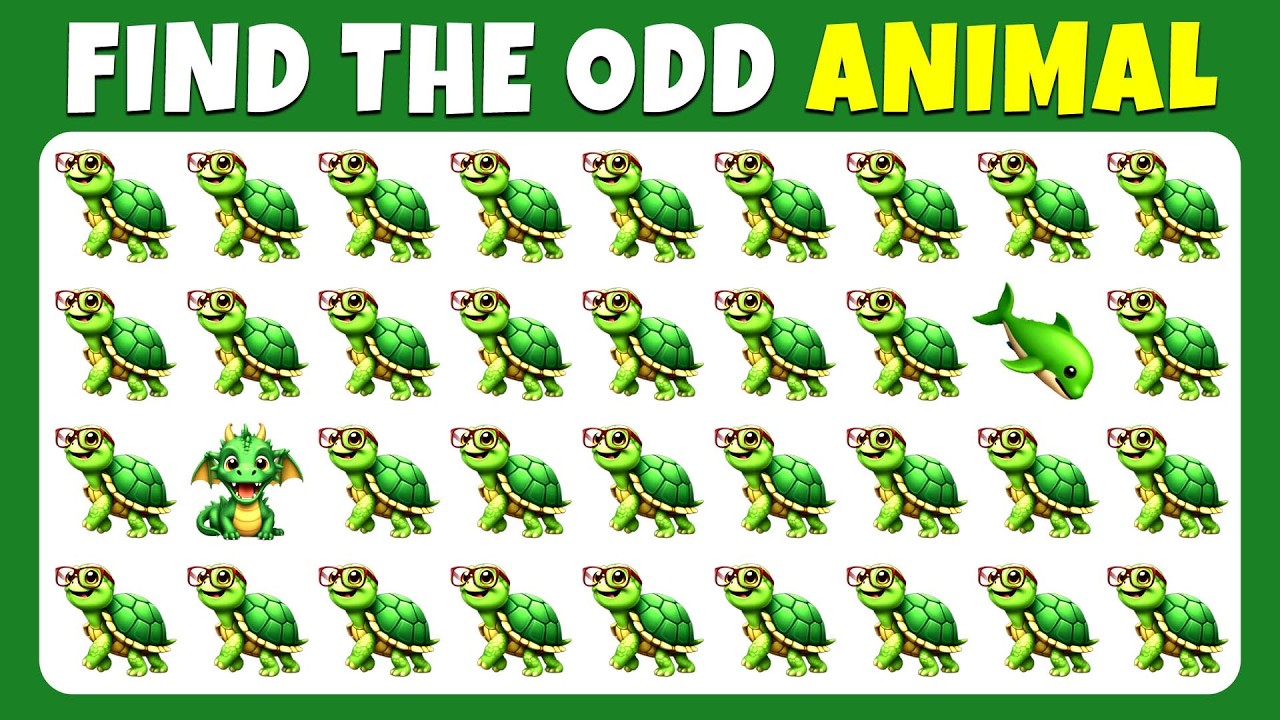 Find the ODD One Out - Animal Edition! Easy, Medium, Hard - 30 levels