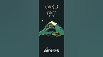تلاوة ماتعة من سورة المائدة للشيخ المقرئ مجدي العسكري